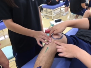 【柔整学科】　 1年生の触察法授業