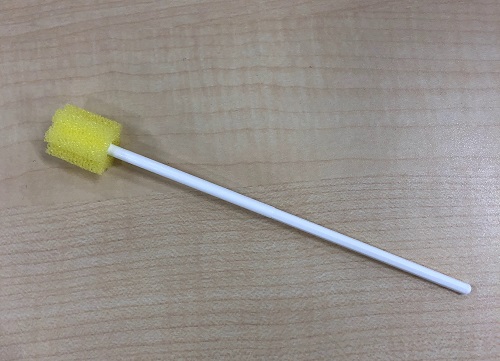 【歯科衛生学科】 お口の清掃に使うスポンジ