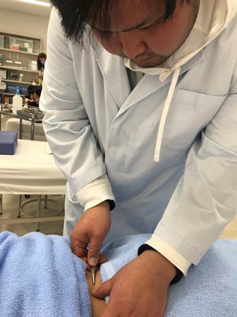 【鍼灸学科】　小さすぎる鍼