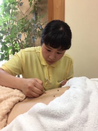 【鍼灸学科】　卒業生動向 ～その16～