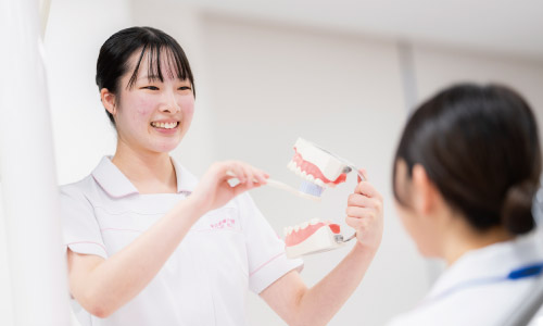 歯科保健指導実習の写真