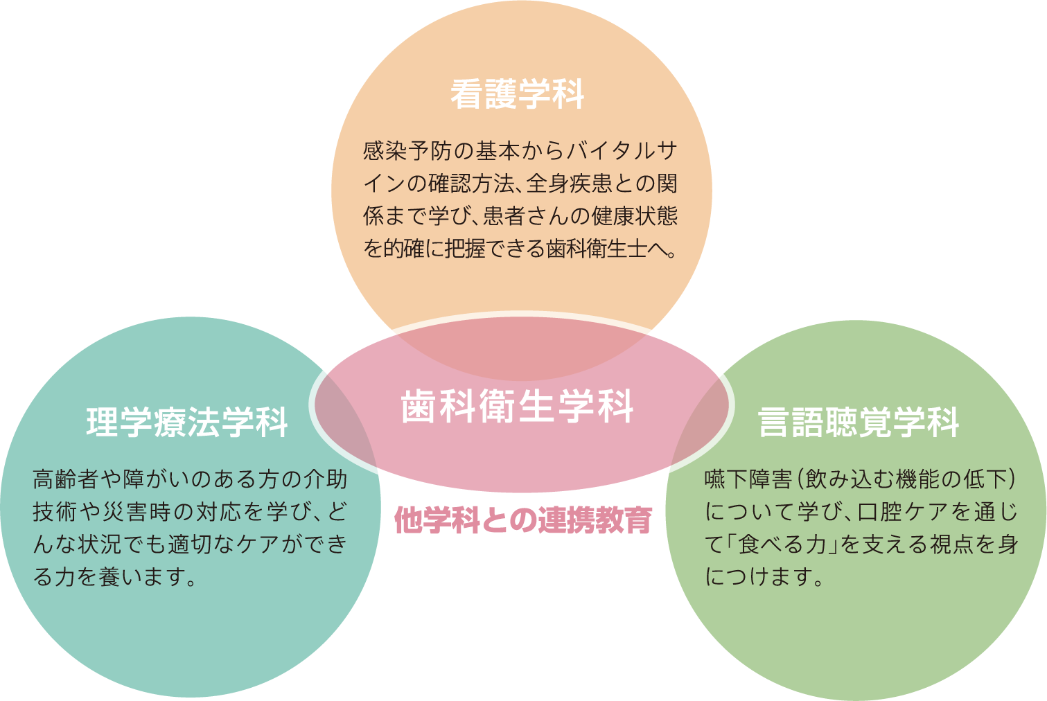 他学科との連携の図 歯科衛生学科から、「看護学科」「理学療法学科」「言語聴覚学科」