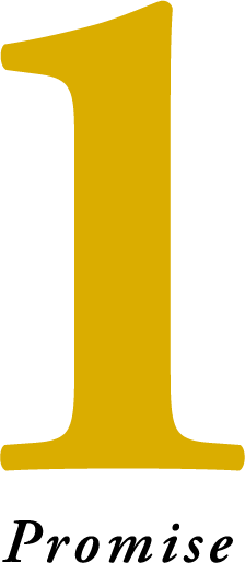 1 promise