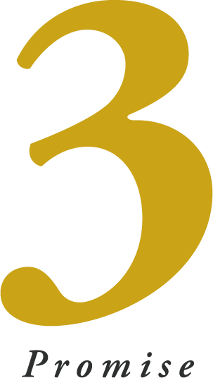 3 promise