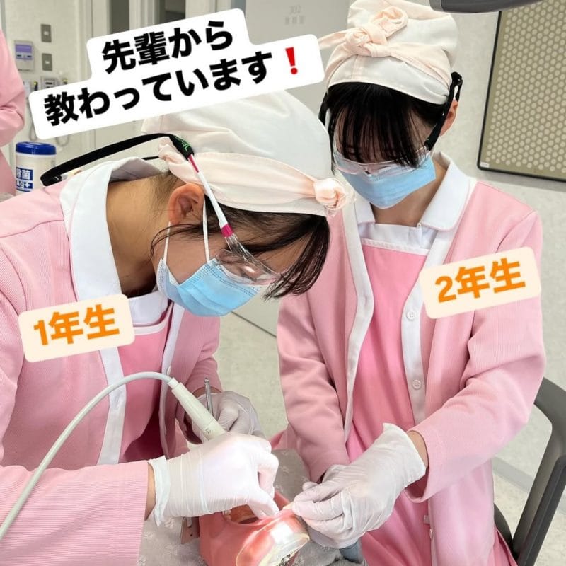 【歯科衛生学科】合同実習を行いました♪