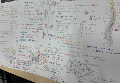 【鍼灸学科】定期試験に向けて