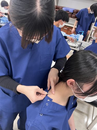 【鍼灸学科】小さすぎる鍼